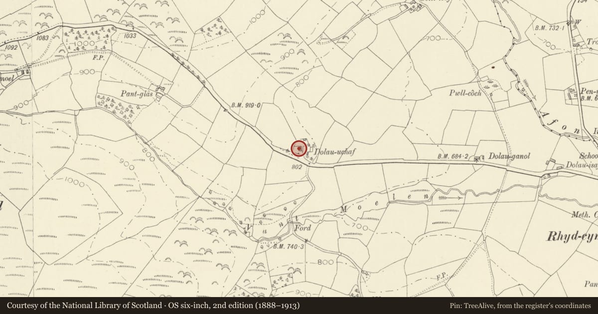 Ordnance Survey six-inch map, 2nd edition (1888–1913) covering the location of Old House at Dolau Uchaf, Llanybydder, Carmarthenshire, with a pin at the register's coordinates