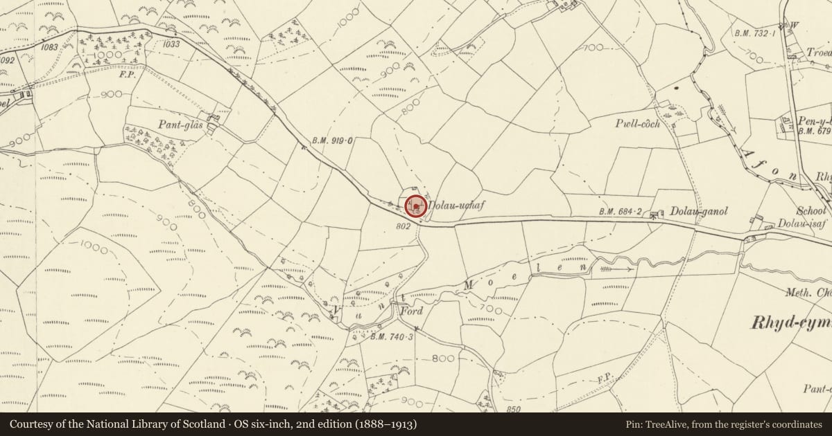 Ordnance Survey six-inch map, 2nd edition (1888–1913) covering the location of Cow house at Dolau Uchaf, Llanybydder, Carmarthenshire, with a pin at the register's coordinates