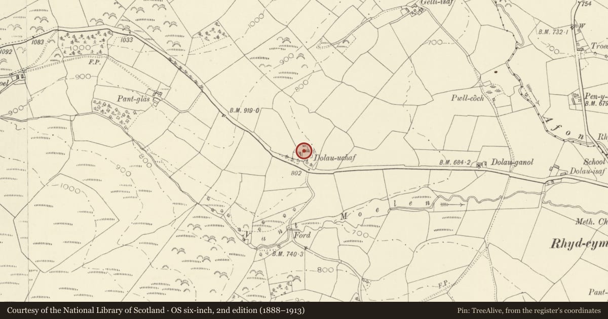 Ordnance Survey six-inch map, 2nd edition (1888–1913) covering the location of Former barn and stable at Dolau Uchaf, Llanybydder, Carmarthenshire, with a pin at the register's coordinates