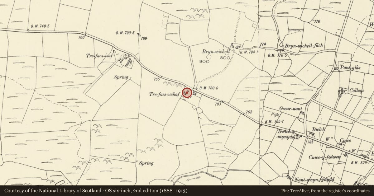Ordnance Survey six-inch map, 2nd edition (1888–1913) covering the location of Multi-purpose farm building at Trefaes Uchaf, Dyffryn Arth, Ceredigion, with a pin at the register's coordinates