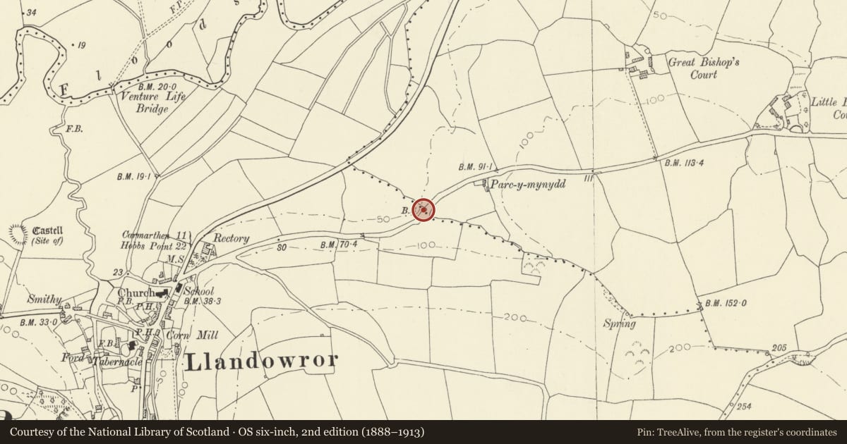 Ordnance Survey six-inch map, 2nd edition (1888–1913) covering the location of Boundary Stone near Parc-y-Mynydd, Llanddowror, Carmarthenshire, with a pin at the register's coordinates