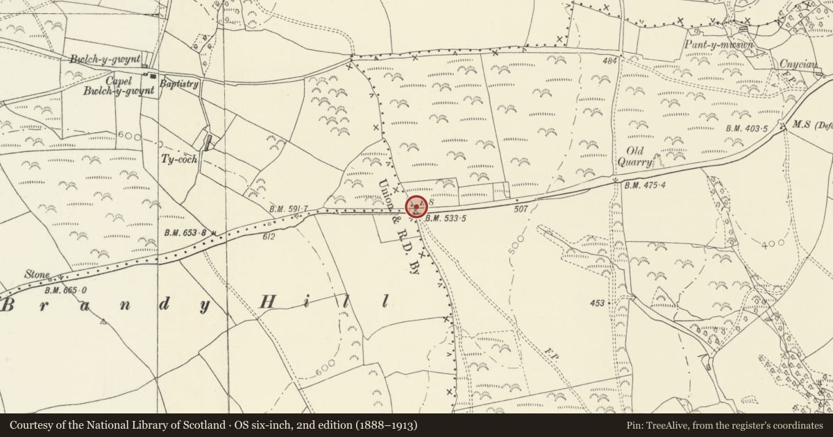 Ordnance Survey six-inch map, 2nd edition (1888–1913) covering the location of Boundary stone near Gelli-Felen (partly in Eglwyscummin Community), Llanddowror, Carmarthenshire, with a pin at the register's coordinates
