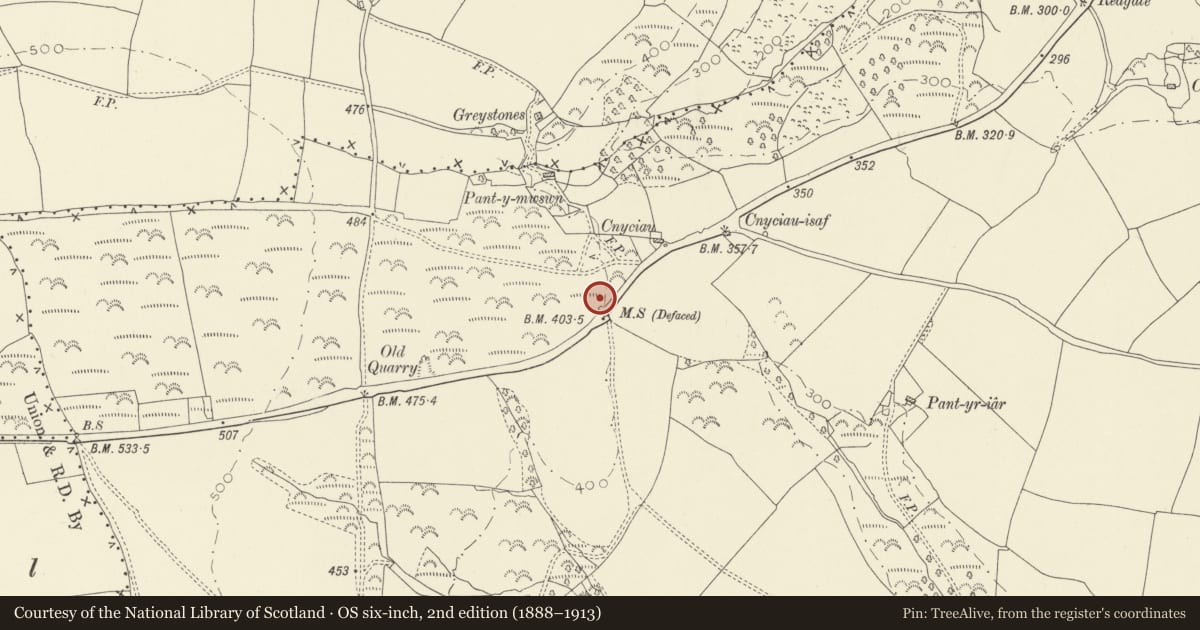 Ordnance Survey six-inch map, 2nd edition (1888–1913) covering the location of Milestone near Bryn Hyfryd, Llanddowror, Carmarthenshire, with a pin at the register's coordinates