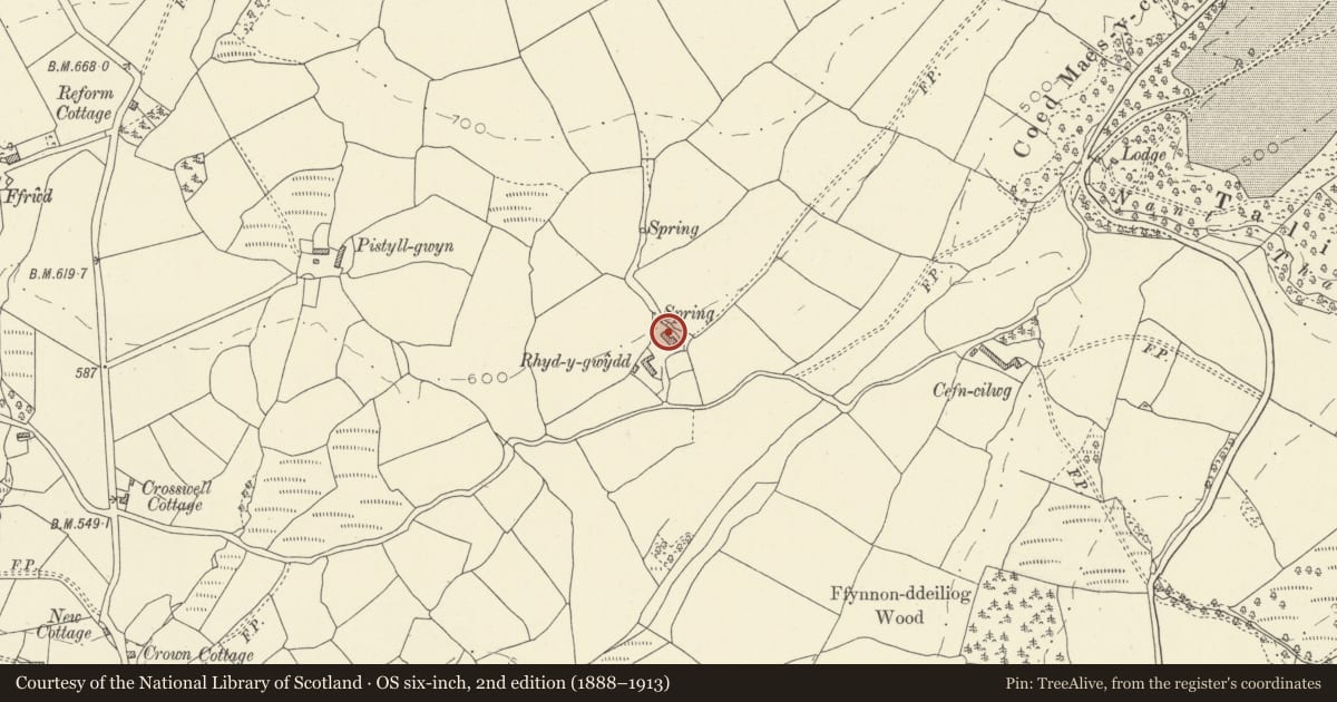 Ordnance Survey six-inch map, 2nd edition (1888–1913) covering the location of Rhydygwydd, Manordeilo and Salem, Carmarthenshire, with a pin at the register's coordinates