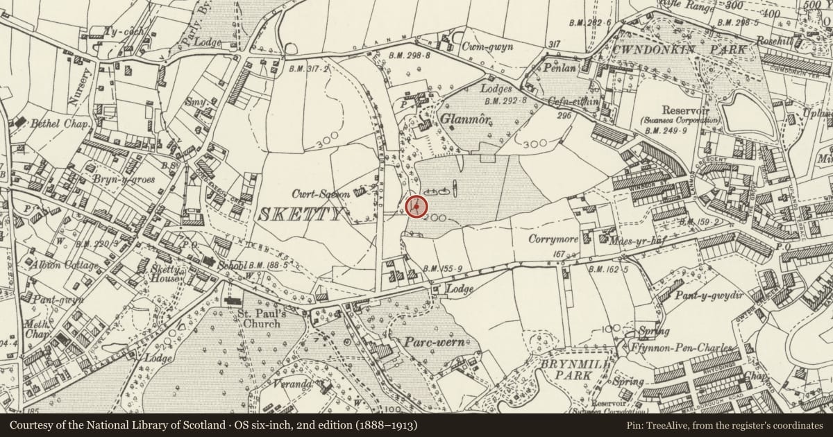 Ordnance Survey six-inch map, 2nd edition (1888–1913) covering the location of Capel y Trinity, including attached former Sunday School and forecourt gates and railings, Uplands, Swansea, with a pin at the register's coordinates