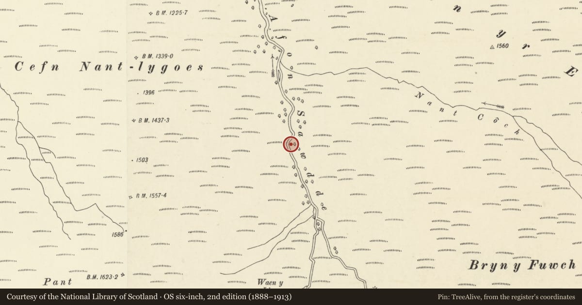 Ordnance Survey six-inch map, 2nd edition (1888–1913) covering the location of Former filter beds on Afon Sawdde below Llyn y Fan Fach Reservoir, including weirs, Llanddeusant, Carmarthenshire, with a pin at the register's coordinates