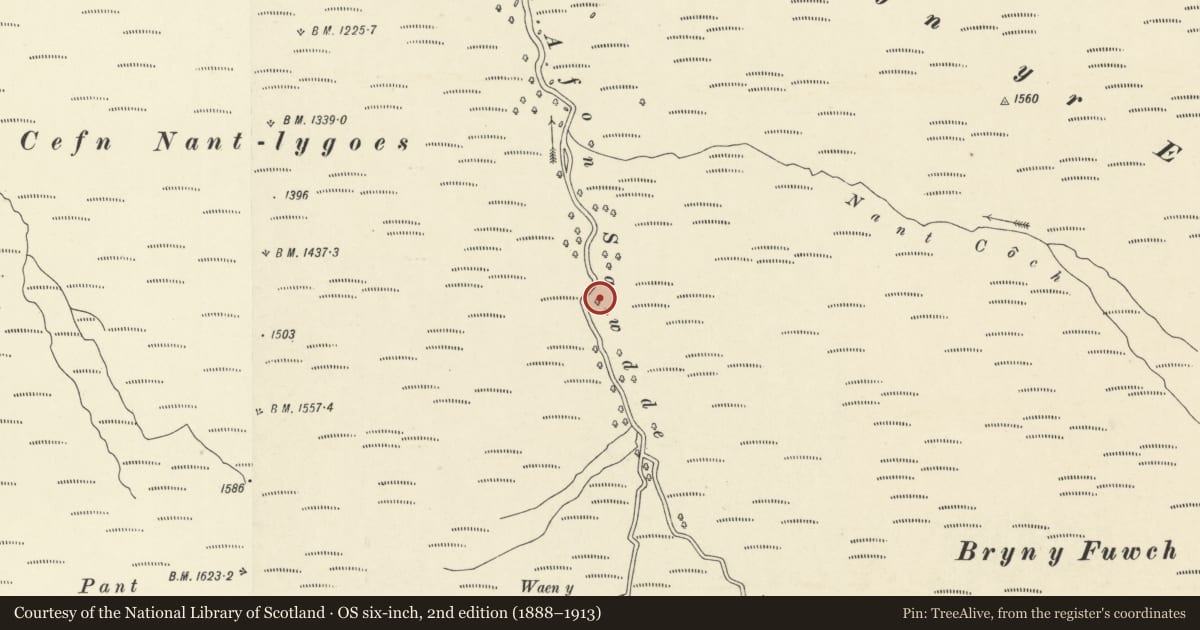 Ordnance Survey six-inch map, 2nd edition (1888–1913) covering the location of Valve House on former filter beds on Afon Sawdde below Llyn y Fan Fach Reservoir, including weirs, Llanddeusant, Carmarthenshire, with a pin at the register's coordinates