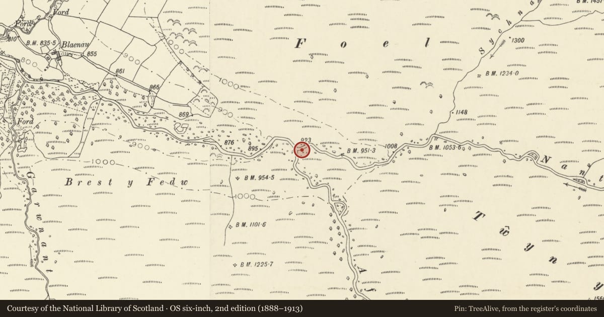Ordnance Survey six-inch map, 2nd edition (1888–1913) covering the location of Bridge over Nant Melyn, Llanddeusant, Carmarthenshire, with a pin at the register's coordinates