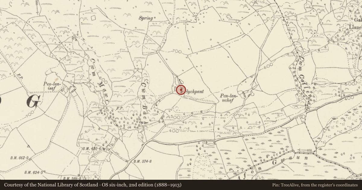 Ordnance Survey six-inch map, 2nd edition (1888–1913) covering the location of Ffald y Brenin Christian Retreat Centre, Cwm Gwaun, Pembrokeshire, with a pin at the register's coordinates