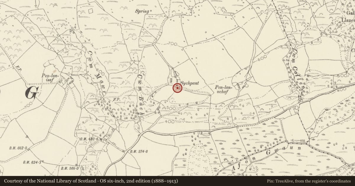 Ordnance Survey six-inch map, 2nd edition (1888–1913) covering the location of Day Centre at Ffald y Brenin Christian Retreat, Cwm Gwaun, Pembrokeshire, with a pin at the register's coordinates