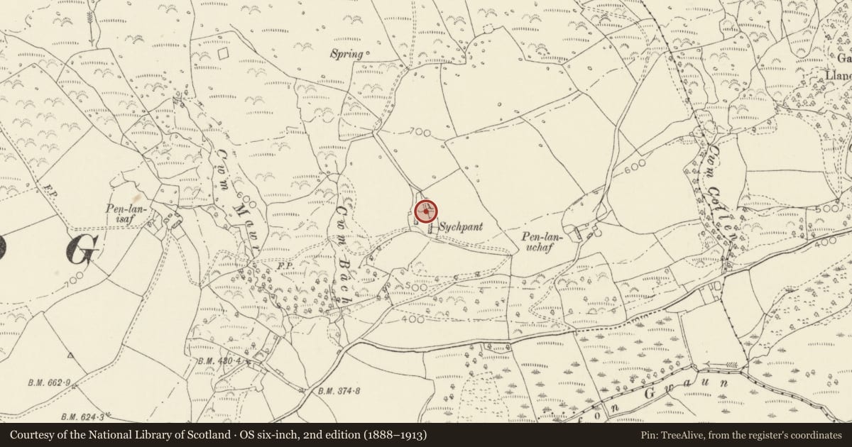 Ordnance Survey six-inch map, 2nd edition (1888–1913) covering the location of The Hermitage at Ffald y Brenin Christian Retreat Centre, Cwm Gwaun, Pembrokeshire, with a pin at the register's coordinates
