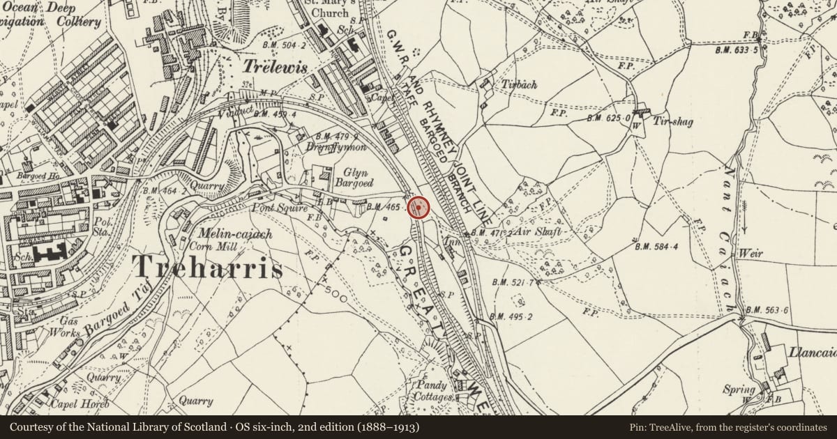 Ordnance Survey six-inch map, 2nd edition (1888–1913) covering the location of Trelewis War Memorial, Bedlinog, Merthyr Tydfil, with a pin at the register's coordinates