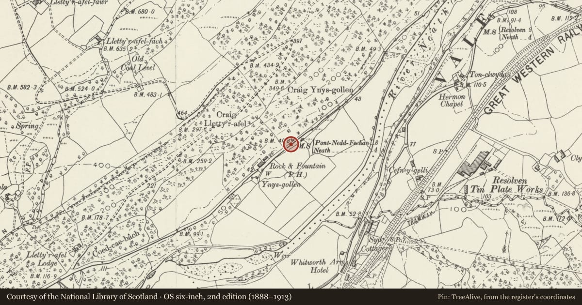 Ordnance Survey six-inch map, 2nd edition (1888–1913) covering the location of Milestone on B4242, 100m east of Rock & Fountain PH, Blaenhonddan, Neath Port Talbot, with a pin at the register's coordinates