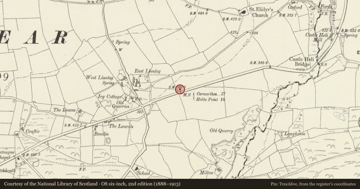 Ordnance Survey six-inch map, 2nd edition (1888–1913) covering the location of Milestone on A477, in the verge opposite Myrtle Villa, Amroth, Pembrokeshire, with a pin at the register's coordinates