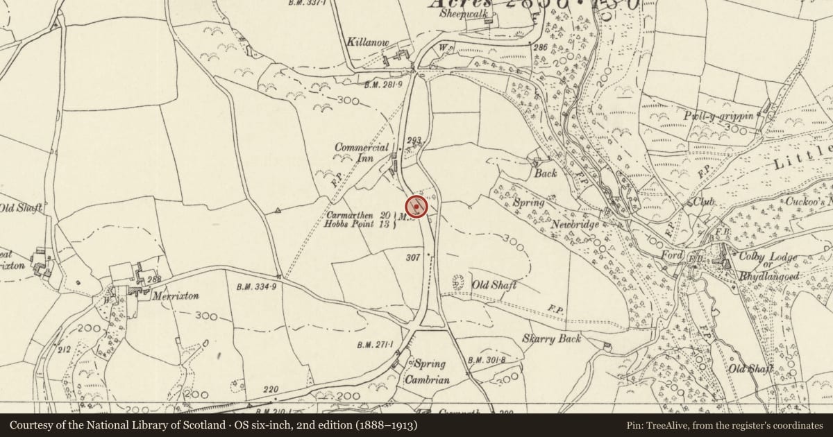 Ordnance Survey six-inch map, 2nd edition (1888–1913) covering the location of Milestone on A477, in the verge south of Berryhillock, Amroth, Pembrokeshire, with a pin at the register's coordinates