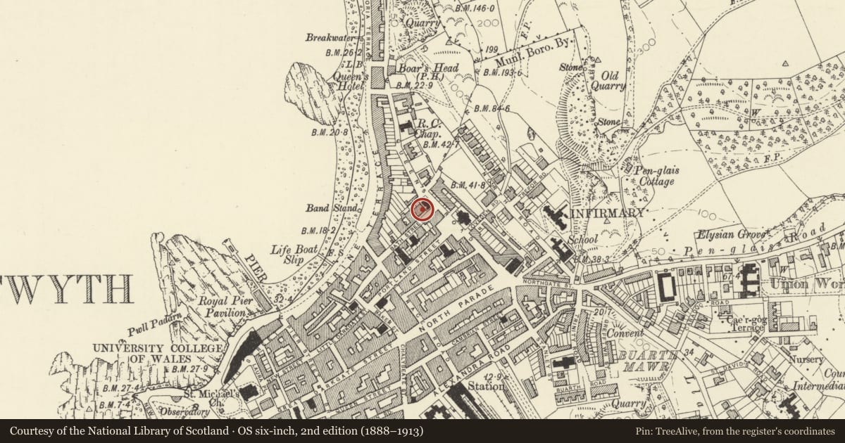 Ordnance Survey six-inch map, 2nd edition (1888–1913) covering the location of Terrace on Bath Street, Aberystwyth, Ceredigion, with a pin at the register's coordinates