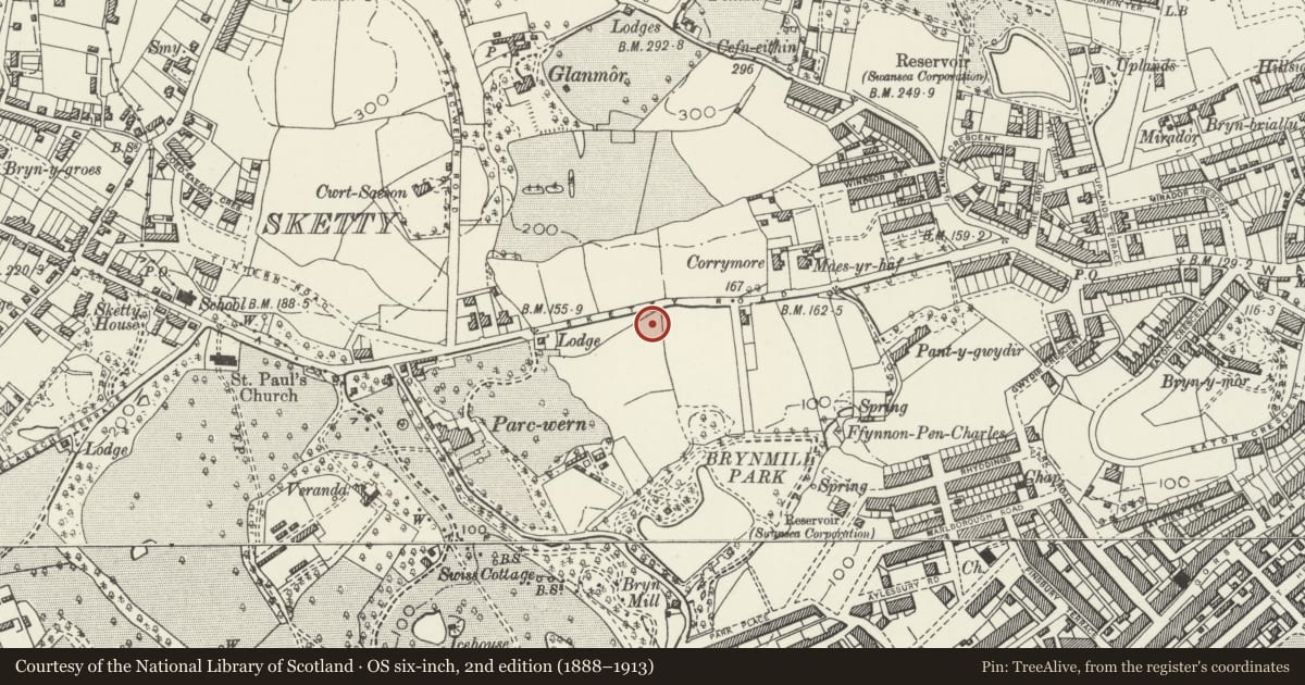 Ordnance Survey six-inch map, 2nd edition (1888–1913) covering the location of Catholic Church of St Benedict, includes entrance gates and railings, Uplands, Swansea, with a pin at the register's coordinates