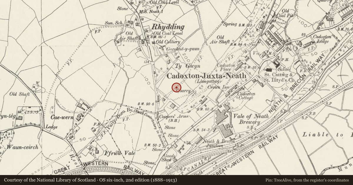 Ordnance Survey six-inch map, 2nd edition (1888–1913) covering the location of Stench Pipe on Daphne Road/Cromwell Avenue, Blaenhonddan, Neath Port Talbot, with a pin at the register's coordinates