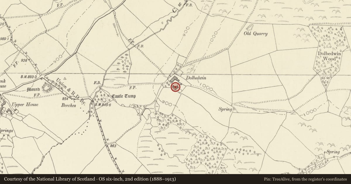 Ordnance Survey six-inch map, 2nd edition (1888–1913) covering the location of Dolbedwin, Gladestry, Powys, with a pin at the register's coordinates