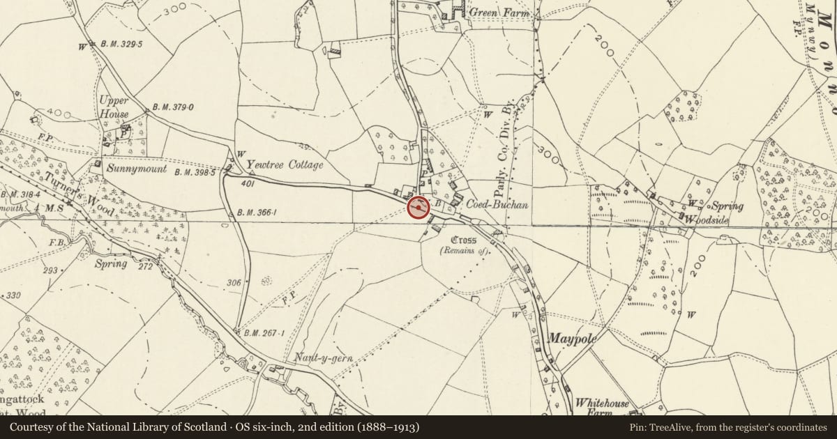Ordnance Survey six-inch map, 2nd edition (1888–1913) covering the location of Drinking Water Fountain in Maypole, Whitecastle, Monmouthshire, with a pin at the register's coordinates