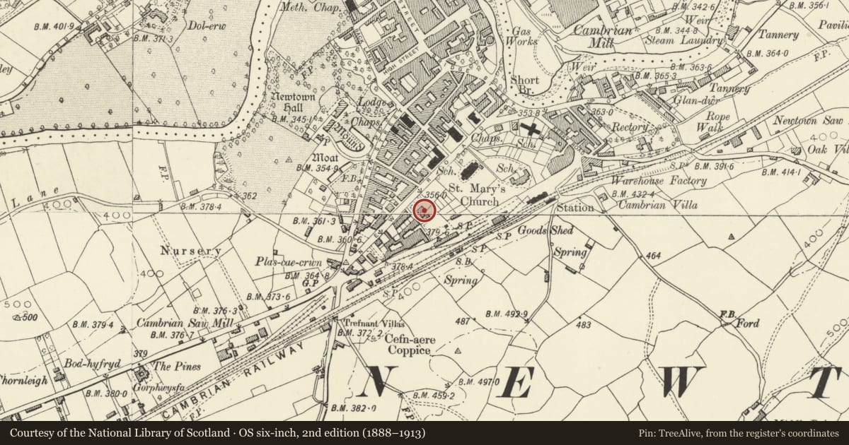 Ordnance Survey six-inch map, 2nd edition (1888–1913) covering the location of Croesawdy, Newtown and Llanllwchaiarn, Powys, with a pin at the register's coordinates
