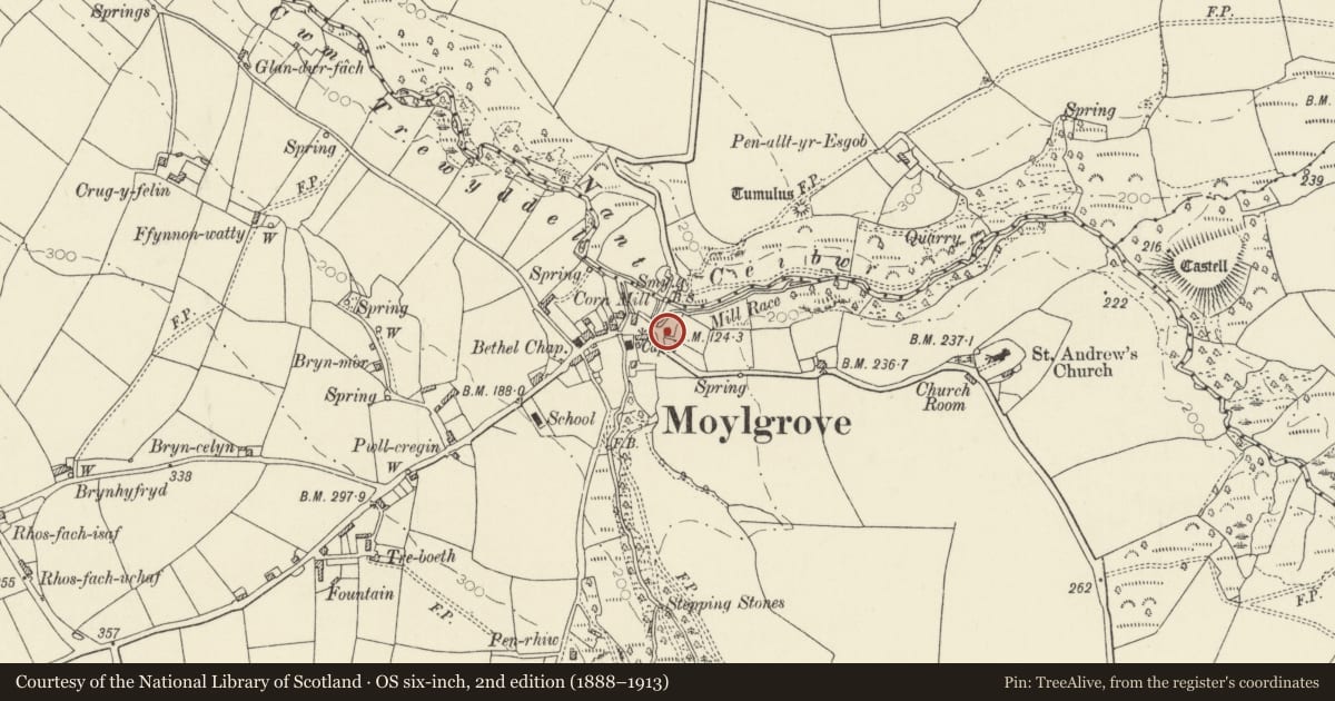 Ordnance Survey six-inch map, 2nd edition (1888–1913) covering the location of Plas y Mwswm, Nevern, Pembrokeshire, with a pin at the register's coordinates