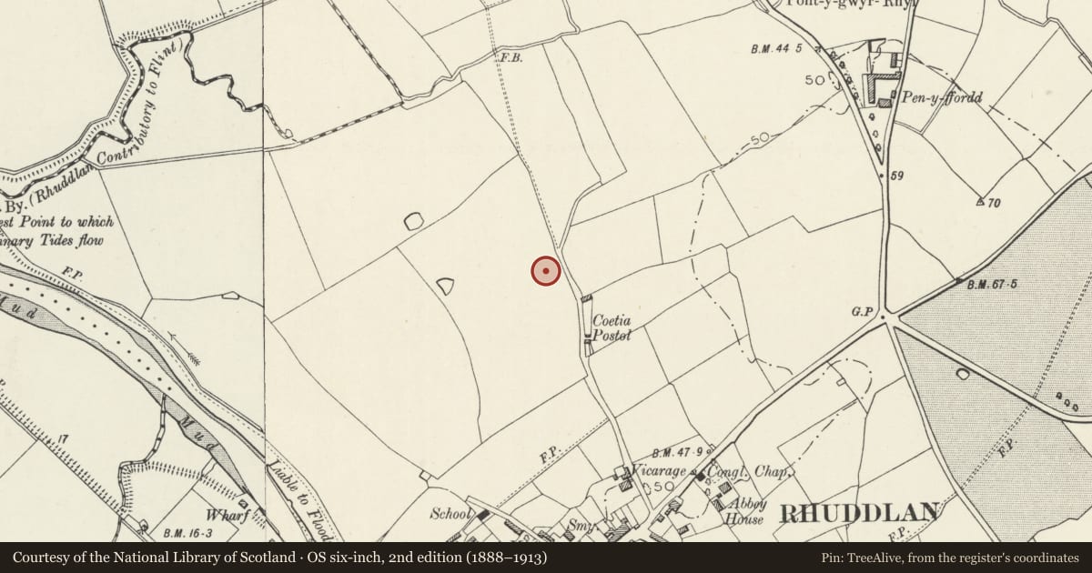 Ordnance Survey six-inch map, 2nd edition (1888–1913) covering the location of Catholic Church of St Illtyd, Rhuddlan, Denbighshire, with a pin at the register's coordinates