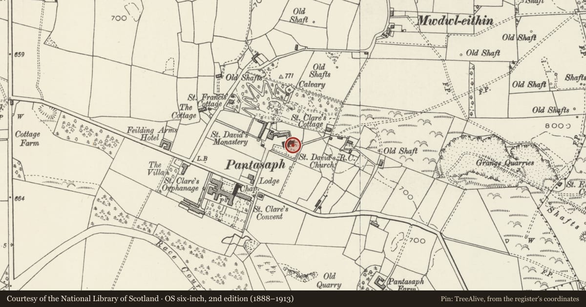 Ordnance Survey six-inch map, 2nd edition (1888–1913) covering the location of Monument to Bishop Brown in the burial ground of the church of St David, Whitford, Flintshire, with a pin at the register's coordinates