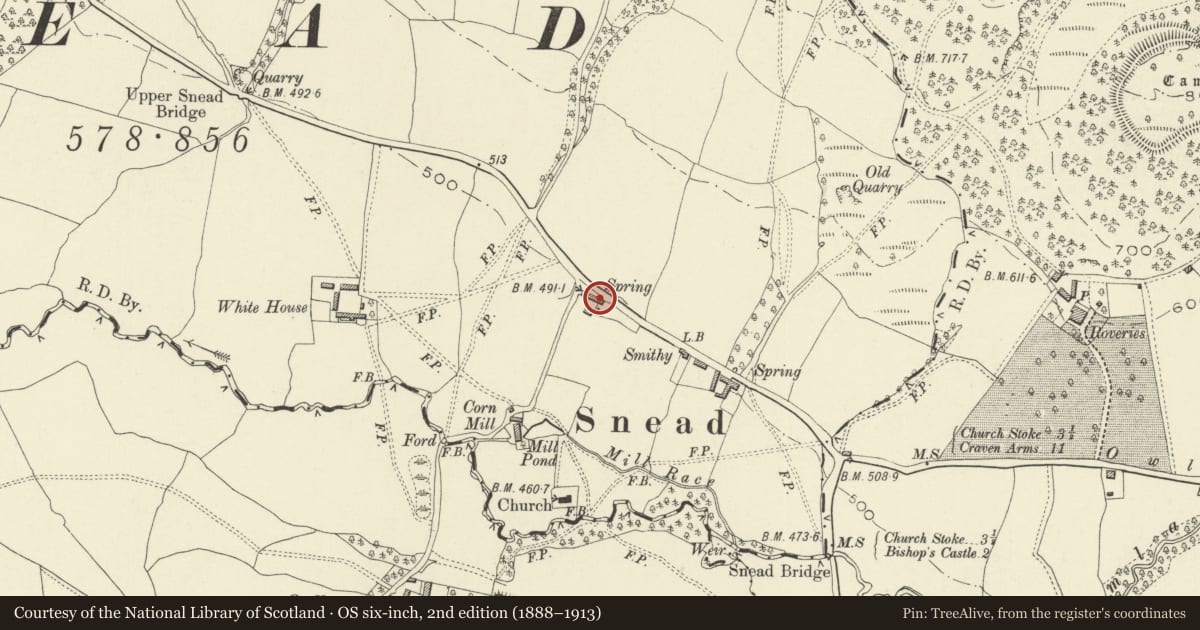 Ordnance Survey six-inch map, 2nd edition (1888–1913) covering the location of Graigfryn, Churchstoke, Powys, with a pin at the register's coordinates