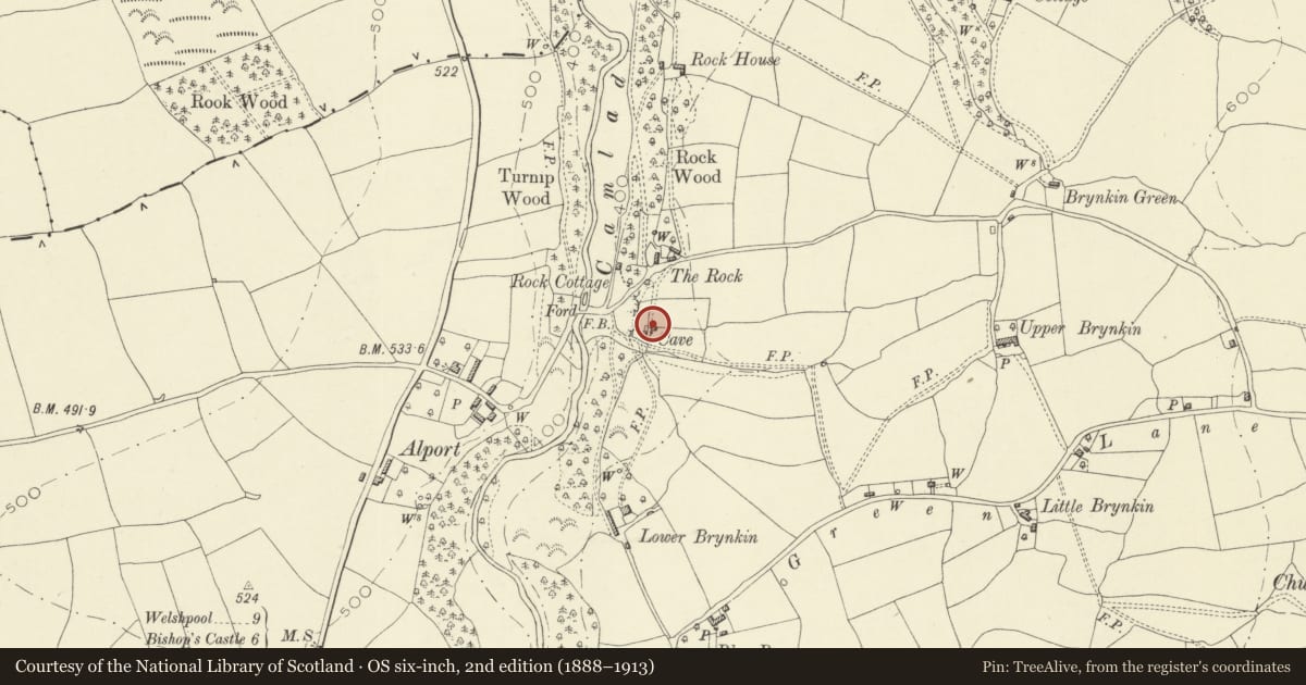 Ordnance Survey six-inch map, 2nd edition (1888–1913) covering the location of The Cave, Churchstoke, Powys, with a pin at the register's coordinates