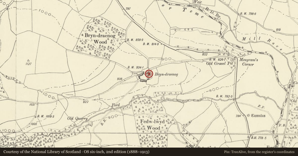 Ordnance Survey six-inch map, 2nd edition (1888–1913) covering the location of Bryndraenog, Beguildy, Powys, with a pin at the register's coordinates