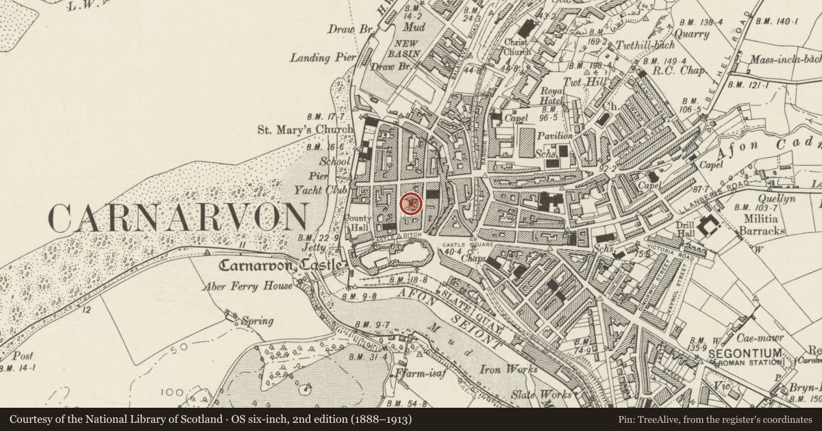 Ordnance Survey six-inch map, 2nd edition (1888–1913) covering the location of Education Offices at Pencadlys Gwynedd, Caernarfon, Gwynedd, with a pin at the register's coordinates