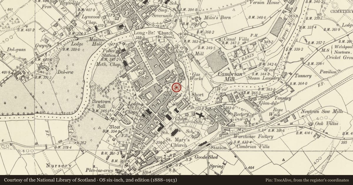 Ordnance Survey six-inch map, 2nd edition (1888–1913) covering the location of Boundary Wall to Robert Owen Memorial Garden with Low Relief Panel, Newtown and Llanllwchaiarn, Powys, with a pin at the register's coordinates