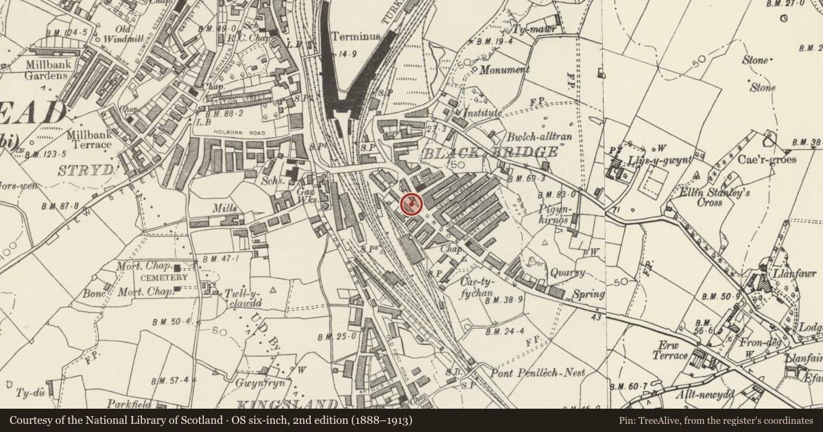 Ordnance Survey six-inch map, 2nd edition (1888–1913) covering the location of Telford Milestone (1), Holyhead, Isle of Anglesey, with a pin at the register's coordinates