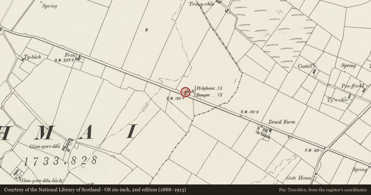 Ordnance Survey six-inch map, 2nd edition (1888–1913) covering the location of Telford Milestone (12), Bodffordd, Isle of Anglesey, with a pin at the register's coordinates