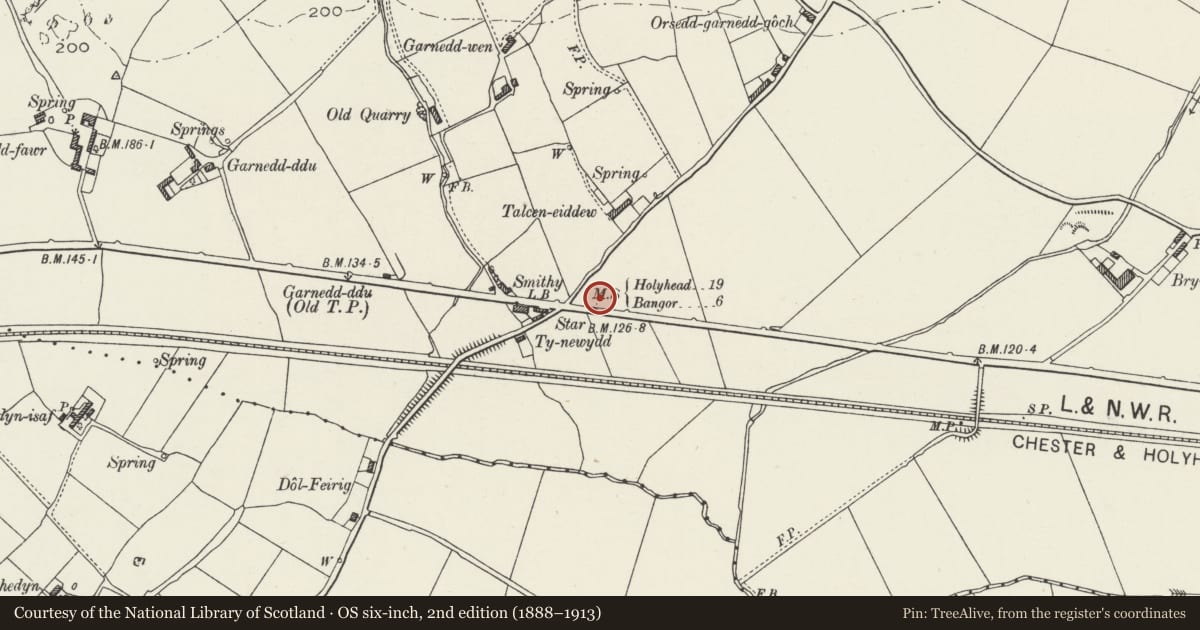 Ordnance Survey six-inch map, 2nd edition (1888–1913) covering the location of Telford Milestone (19), Penmynydd, Isle of Anglesey, with a pin at the register's coordinates