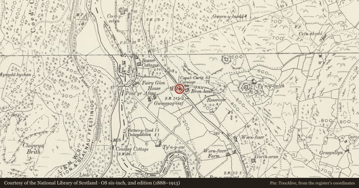 Ordnance Survey six-inch map, 2nd edition (1888–1913) covering the location of Telford Milestone (46), Bro Garmon, Conwy, with a pin at the register's coordinates