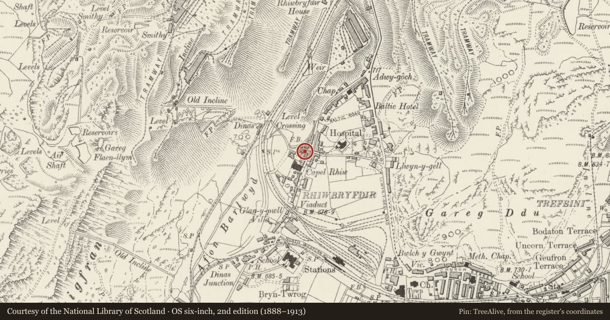 Ordnance Survey six-inch map, 2nd edition (1888–1913) covering the location of Ty Hen (including garage room to Penygroes), Ffestiniog, Gwynedd, with a pin at the register's coordinates