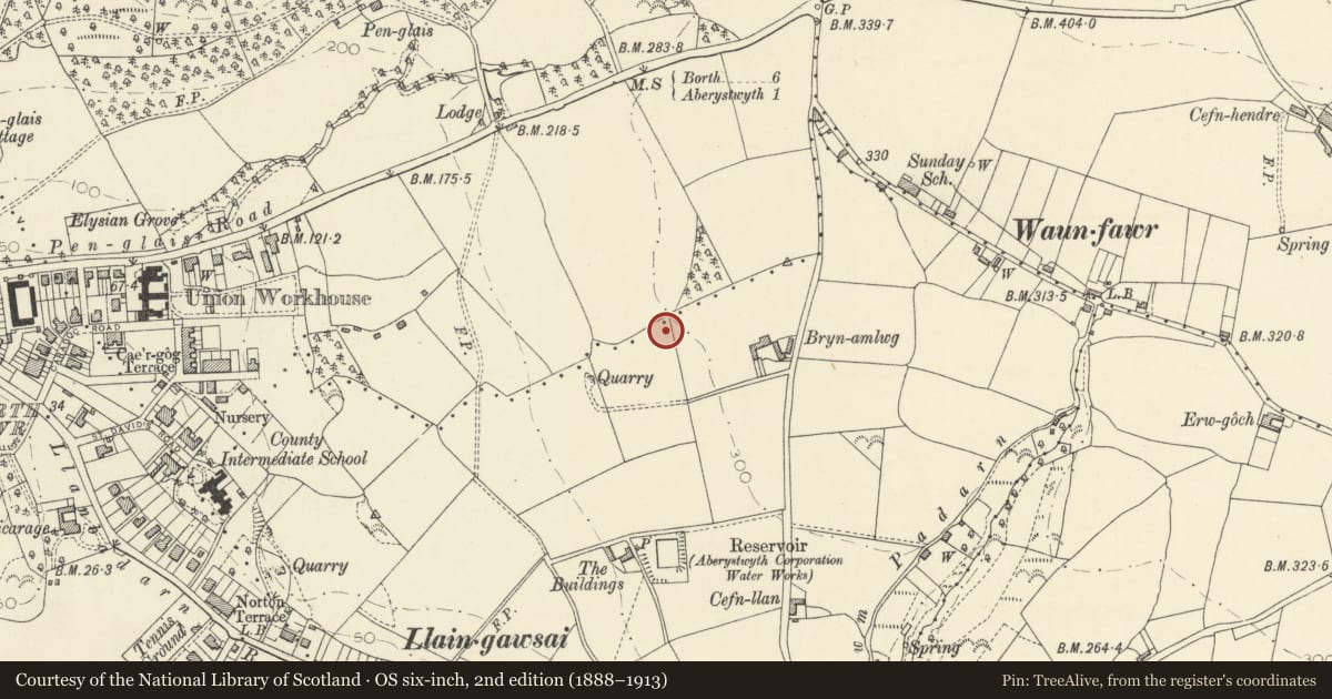Ordnance Survey six-inch map, 2nd edition (1888–1913) covering the location of The Great Hall, Aberystwyth University, Llanbadarn Fawr, Ceredigion, with a pin at the register's coordinates