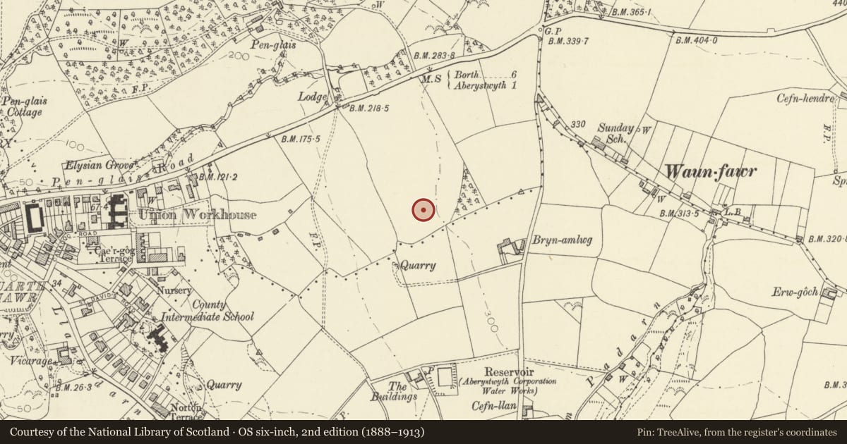 Ordnance Survey six-inch map, 2nd edition (1888–1913) covering the location of The Hugh Owen Building, Aberystwyth, Ceredigion, with a pin at the register's coordinates