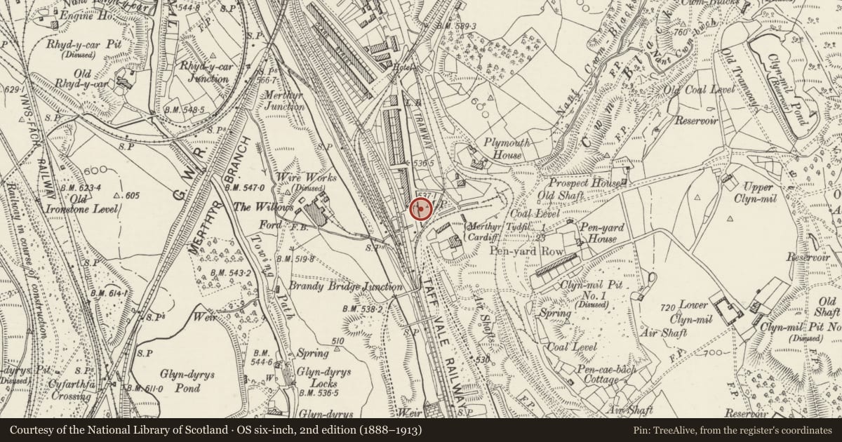 Ordnance Survey six-inch map, 2nd edition (1888–1913) covering the location of Milepost outside No. 7 Hanky Terrace, Plymouth Street, Town, Merthyr Tydfil, with a pin at the register's coordinates