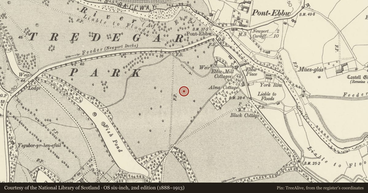 Ordnance Survey six-inch map, 2nd edition (1888–1913) covering the location of Former Inmos Microprocessor Factory, Tredegar Park, Newport, with a pin at the register's coordinates