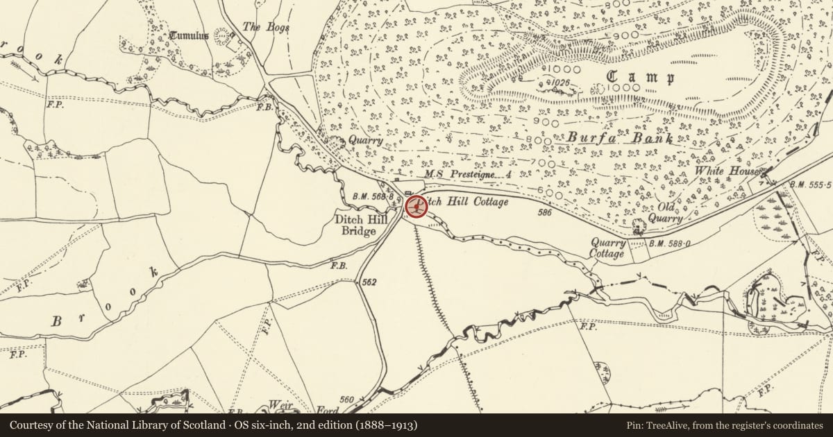 Ordnance Survey six-inch map, 2nd edition (1888–1913) covering the location of Fingerpost at Ditchyeld Bridge, Walton, Old Radnor, Powys, with a pin at the register's coordinates