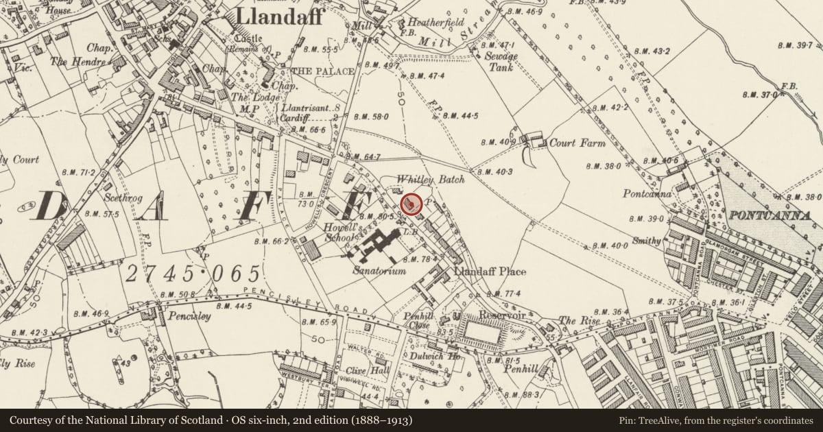 Ordnance Survey six-inch map, 2nd edition (1888–1913) covering the location of Bryn Taff, 67 Cardiff Road, Llandaff, Cardiff, with a pin at the register's coordinates