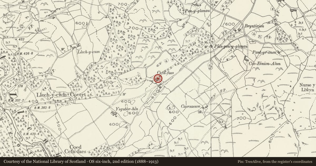 Ordnance Survey six-inch map, 2nd edition (1888–1913) covering the location of Cefn Faes, Gellilydan, Maentwrog, Gwynedd, with a pin at the register's coordinates