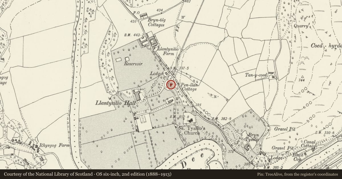 Ordnance Survey six-inch map, 2nd edition (1888–1913) covering the location of Tyn Llan, Llantysilio, Denbighshire, with a pin at the register's coordinates