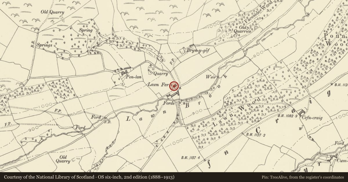 Ordnance Survey six-inch map, 2nd edition (1888–1913) covering the location of Lawn Farm, Beguildy, Powys, with a pin at the register's coordinates