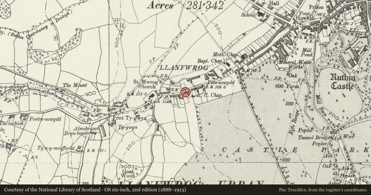 Ordnance Survey six-inch map, 2nd edition (1888–1913) covering the location of 135 Mwrog Street, Ruthin, Denbighshire, with a pin at the register's coordinates