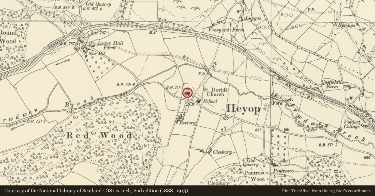 Ordnance Survey six-inch map, 2nd edition (1888–1913) covering the location of Church of St David, Beguildy, Powys, with a pin at the register's coordinates