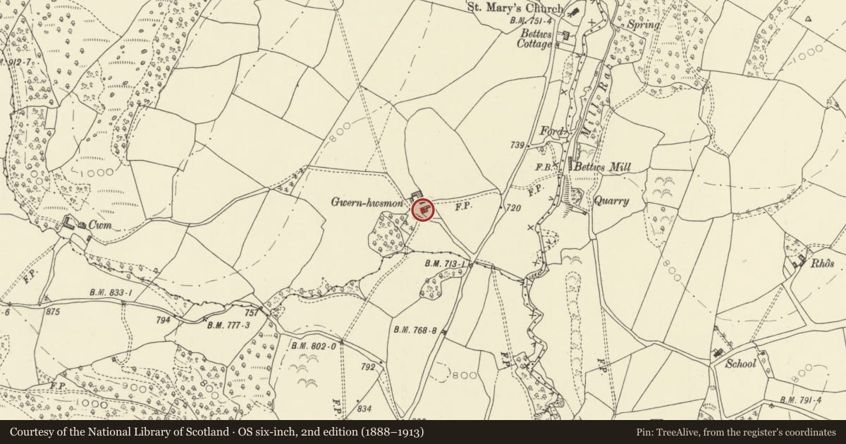 Ordnance Survey six-inch map, 2nd edition (1888–1913) covering the location of Gwern Hwsmon, Glascwm, Powys, with a pin at the register's coordinates